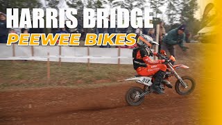 Harris Bridge 2 PeeWee Bikes  MidEast Racing 2022 [upl. by So]