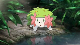 Pokemon Planet Legendary Shaymin Encounter PPO  Pokemon Planet Highlights [upl. by Alpers]