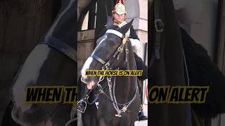 BLUES AND ROYALS kingsguard shorts royalhorse royalguard tourist satisfying london [upl. by Polard]