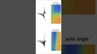 Simulating the development of retinotopic maps in the visual cortex [upl. by Aerdna499]