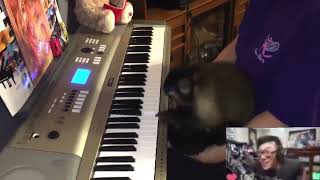 THAT MONKEY IS OVERSTREAMING ON THE PIANO [upl. by Amocat]