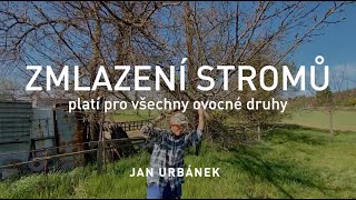 ZMLAZENÍ STROMŮ  platí pro všechny ovocné druhy [upl. by Kolb]