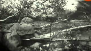 NEU DIE WAFFEN SS  Doku 2014 in HD  Dokumentation  Reportage [upl. by Nnylesor121]