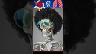 Habib FactsMindBlowing Facts About the Human Body 🤯quot মজারতথ্য mayajaalbangla facts [upl. by Neroled]