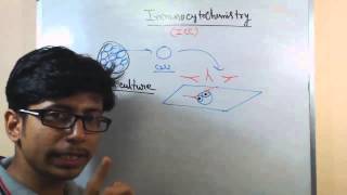 Immunocytochemistry lecture principle and procedure [upl. by Bowra223]