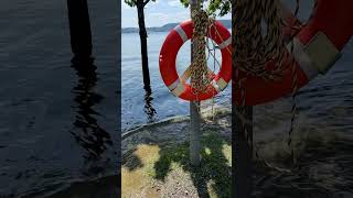 Bodensee Hochwasser Juni 2024 🇩🇪 shorts [upl. by Wauters]