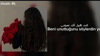 الاغنيه التركيه مترجمه Basit Numaralra  Zerrin Özer [upl. by Cobby]