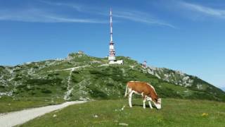 Die Villacha  Titel Im Naturpark Dobratsch [upl. by Agostino]