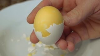 How to Scramble Eggs Inside Their Shell [upl. by Akire]