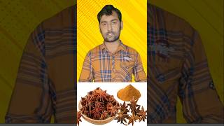 அன்னாசிபூ நன்மைகள்  Star Anise Benefits  Star Anise Uses staranise health healthy shorts [upl. by Mikkel749]