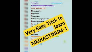 Easy mnemonic to learn Superior Mediastinum contents Anatomy mnemonics  Thorax 1 anatomy neet [upl. by Anayi]