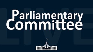 Parliamentary Joint Committee on Corporations and Financial Services  02082024 [upl. by Bellew852]