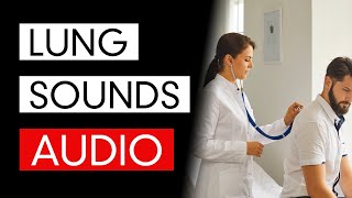 Lung Sounds  Audio COVID19 Pneumonia Included [upl. by Enoch]