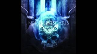 Ne Obliviscaris  Cynosure [upl. by Drooff]