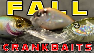 Fall Crankbait Fishing For Bass Everything You Need To Know [upl. by Robina]