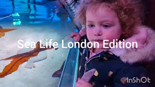 Noahs Room  105  Sea Life London Aquarium [upl. by Gaige]