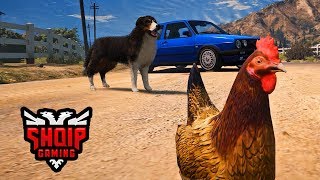 GTA 5 SHQIP  Kopshti zoologjik Pula Qeni Gorilla etj   SHQIPGaming [upl. by Carley]