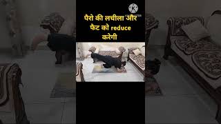 जमी हुई जिद्दी चर्बी कम करे तेजी सेtrending shorts subscribe music song love festival yoga [upl. by Yettie117]