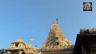 Dwarkadhish Temple Dhwaja Arohan Dt26112024 [upl. by Ettelorahc]