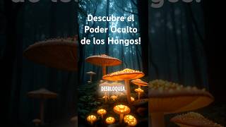 ¡Descubre el Poder Oculto de los Hongos HongosSaludables PesoIdeal EnergíaNatural Bienestar [upl. by Hyacintha]