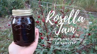 Rosella Jam Recipe  How to Harvest [upl. by Edwards]