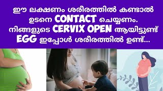 Cervix Opened for ovulation Symptom  Deechus world Malayalam [upl. by Amieva89]