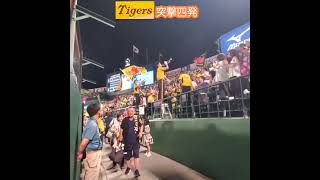 20240801 大迫力！ﾗｲﾄｽﾀﾝﾄﾞから【突撃四発】 shorts 阪神ﾀｲｶﾞｰｽ応援団阪神甲子園球場･ﾗｲﾄ外野［KOSHIEN CLASSIC SERIES］ [upl. by Panayiotis]