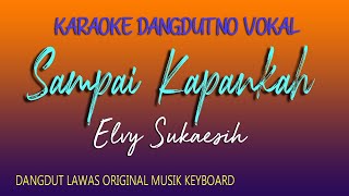 Sampai Kapankah Karaoke Elvy Sukaesih [upl. by Kepner]