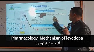 Mechanism of action of Levodopa آلية عمل ليفودوبا [upl. by Aiela]