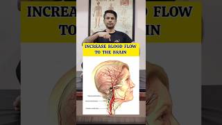 Best Exercise for Increase Blood Flow To The Brain shorts tranding [upl. by Barclay]