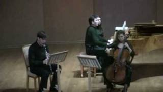 J Brahms Trio for clarinet cello and piano 1 movement [upl. by Arhna933]