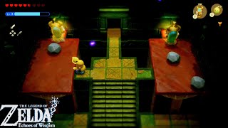 The Legend of Zelda Echoes of Wisdom Faron Temple Hardest Puzzle Solve amp Treasure [upl. by Enelez274]