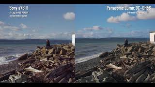 Panasonic Lumix DCGH5S vs Sony a7S II Log footage comparison [upl. by Akemeuwkuhc203]