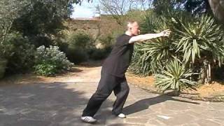 Wu Style tai chi Short Form By Michael W Acton [upl. by Nodmac124]