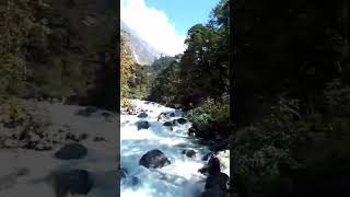 Langtang Trek Langtang River intrekking Langtang trekkings hikinginnepal travel helicopter [upl. by Averi]