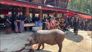 Katongkonan 2 pemakaman almh Laurentina RantelinoSPd mama Hermin  oma Paris di Patua Sangall [upl. by Vere]