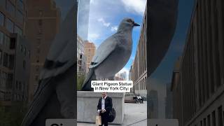 Giant Pigeon Statue in New York [upl. by Aleekat44]