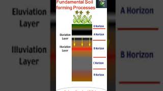 Soil Science Eluviation Illuviation Soil forming Process [upl. by Myrta860]