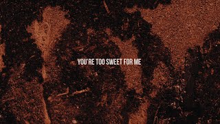 Hozier  Too Sweet Official Lyric Video [upl. by Dickman]