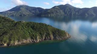 Maud Island Te Hoiere  Pelorus Sound [upl. by Adnical]