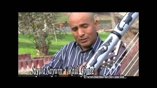 RAUL GOMEZ AYACUCHO Mix Huaynos  CON ARPA  PRIMICIA 2015 [upl. by Wolfson]