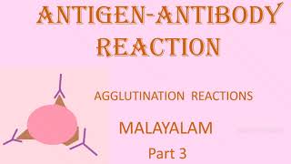 AGGLUTINATION REACTION ANTIGENANTIBODY REACTION PART 3 MALAYLAM [upl. by Asilem]