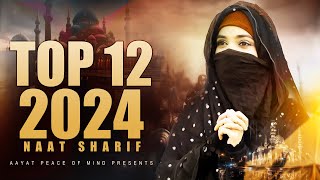 Naat Sharif  2024 New Naat Sharif  Nonstop Beautiful Naat Sharif  Best Urdu Naat Sharif  Naat [upl. by Ayalat]