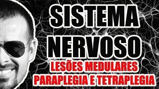 Sistema Nervoso Lesões da medula espinal Paraplegia e tetraplegia  Anatomia  VídeoAula 012 [upl. by Freed]