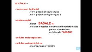 Voies Aériennes Supérieures Partie 6 [upl. by Iam]