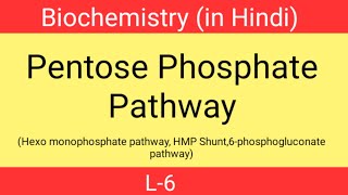 Pentose phosphate pathway in hindi  L6  Hexo monophosphate pathway  Biochemistry 2nd sem  HMP [upl. by Amron]