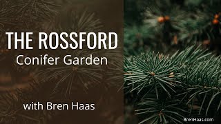 The Rossford Ohio Conifer Garden [upl. by Amathist832]