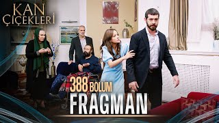 Kan Çiçekleri 388 Bölüm Tanıtımı [upl. by Nyliuqcaj]