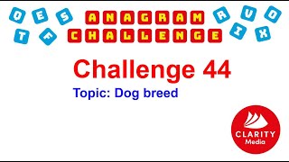 Anagram Challenge 44 Dog Breed [upl. by Eri]