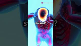 Neurotransmitters effect mood nervoussystem knowyourbody fitnessmotivation facts bodysystem [upl. by Feldman87]